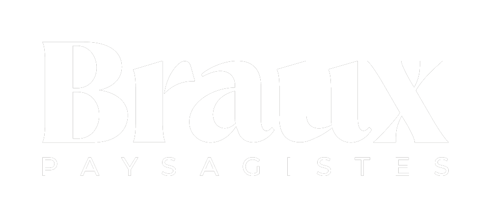 Logo Braux SA
