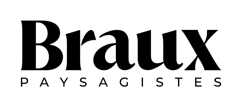 Logo Braux SA